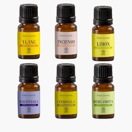 Nuevo Lote de 6 Aceites Esenciales Puros